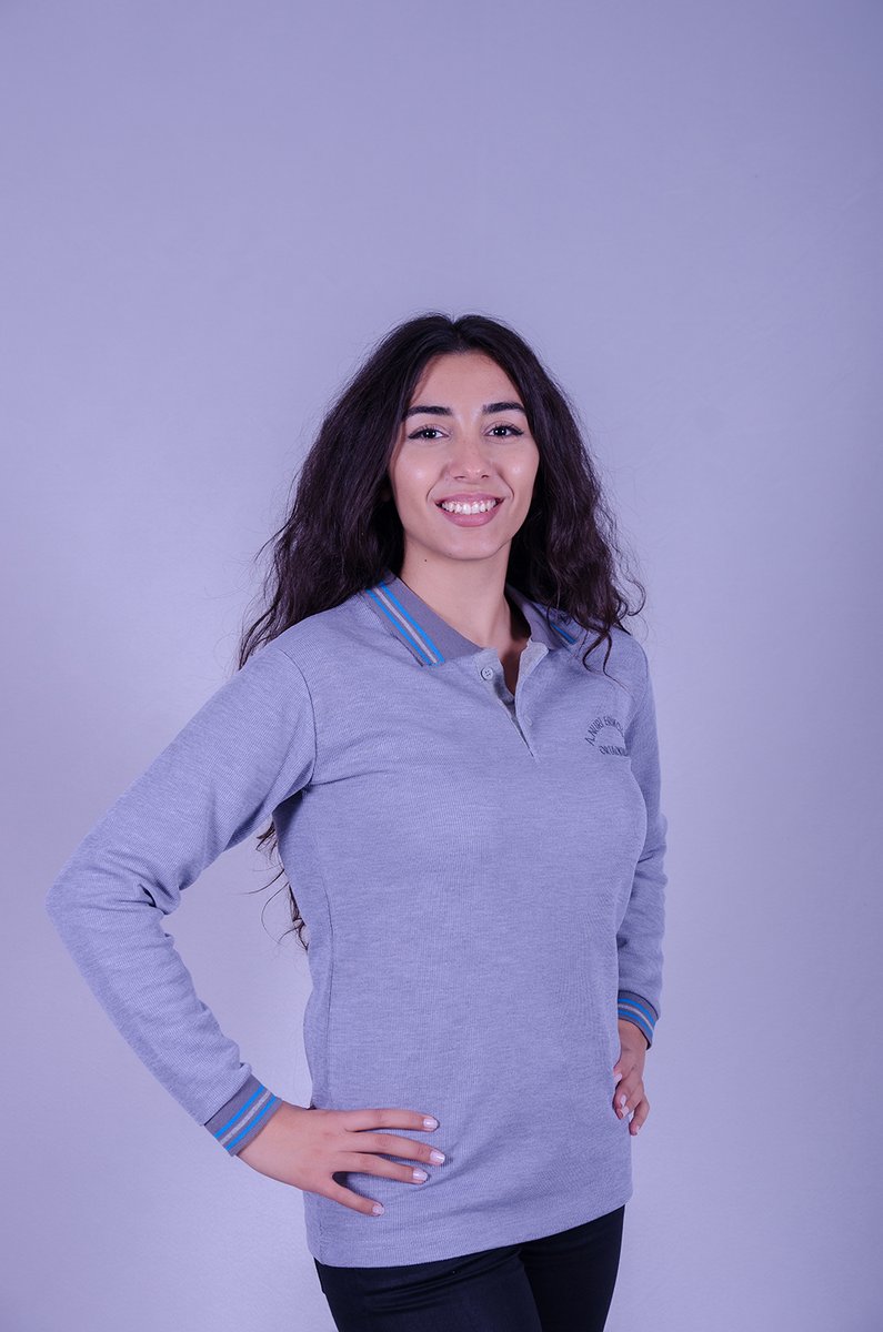 Gri uzun kollu polo — mavi çizgili yaka, nakış logolu — İLKETEKS toptan imalat